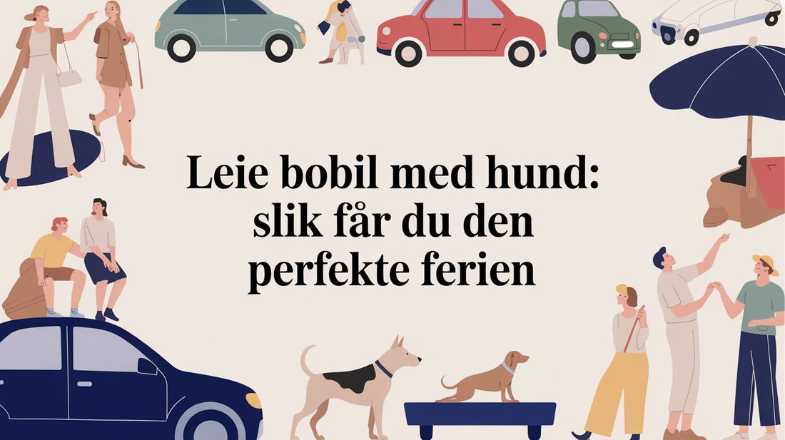 Leie bobil med hund: Slik får du den perfekte ferien - Marine & Caravan